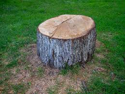 Best Firewood Processing and Delivery  in Prescott, WI
