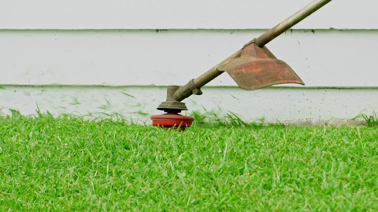 Best Hedge Trimming  in Prescott, WI