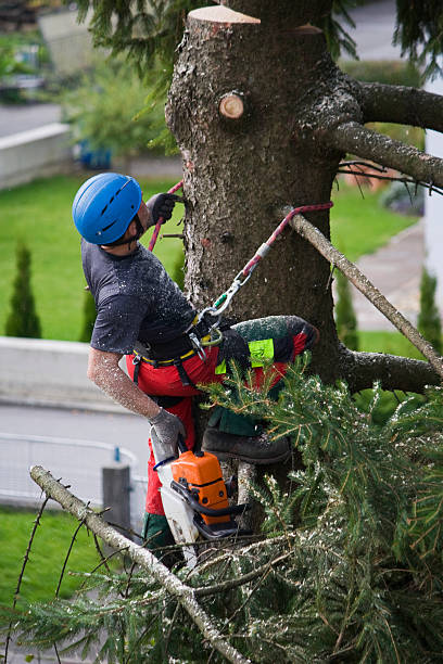 Best Pest Control for Lawns  in Prescott, WI