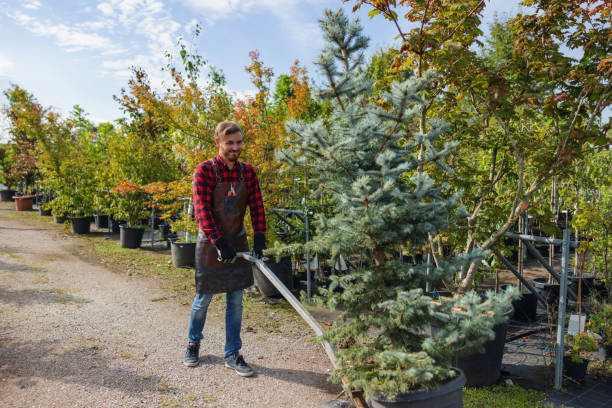 Best Tree Trimming and Pruning  in Prescott, WI
