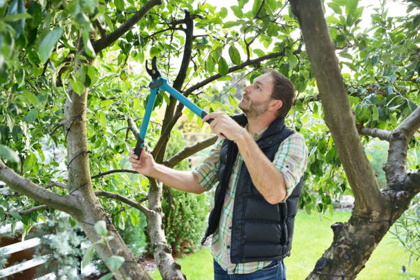 Best Lawn Watering Services  in Prescott, WI